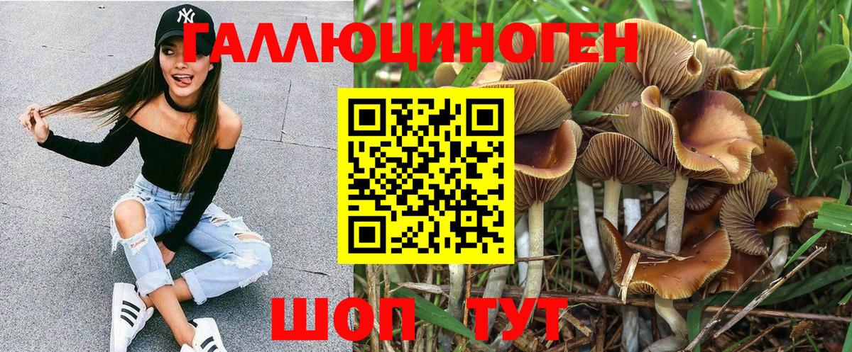 Галлюциногенные грибы MAGIC MUSHROOMS  Вход с VPN  Ишим 