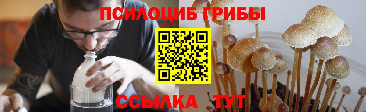 Галлюциногенные грибы ЛСД Ишим